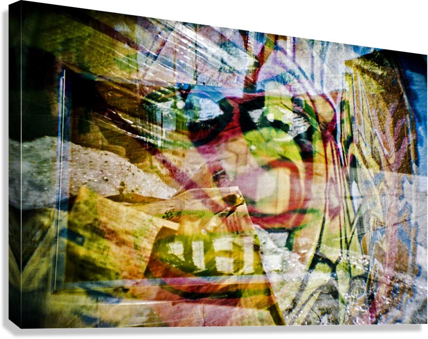 Urgent Desire To Be Normal Canvas Print