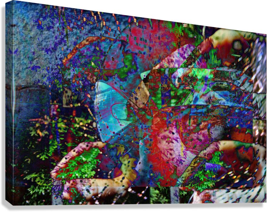Synesthesia Canvas Print