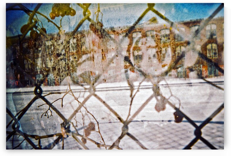 Quarantined by soulardphotography