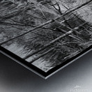 Mirror Swamp Metal print