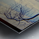 Shifting Sands Metal print