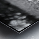 Steel Tether Metal print