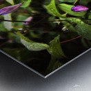 Dianas Spring Metal print