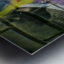 Happy Go Lucky Metal print