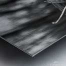 Last Leaf Metal print