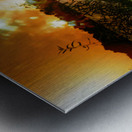 Quantum Effluence Metal print