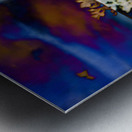 Torpor Metal print