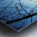 Quiet Horizon Metal print