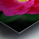The Forever Flower Metal print