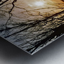 Rainbow Sunset Metal print