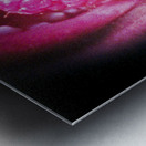 Berry Good Metal print