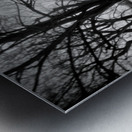 Alone Again Metal print