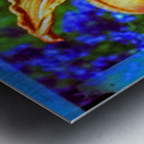Lily explosion Metal print