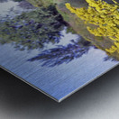 Cobalt Lagoon Metal print