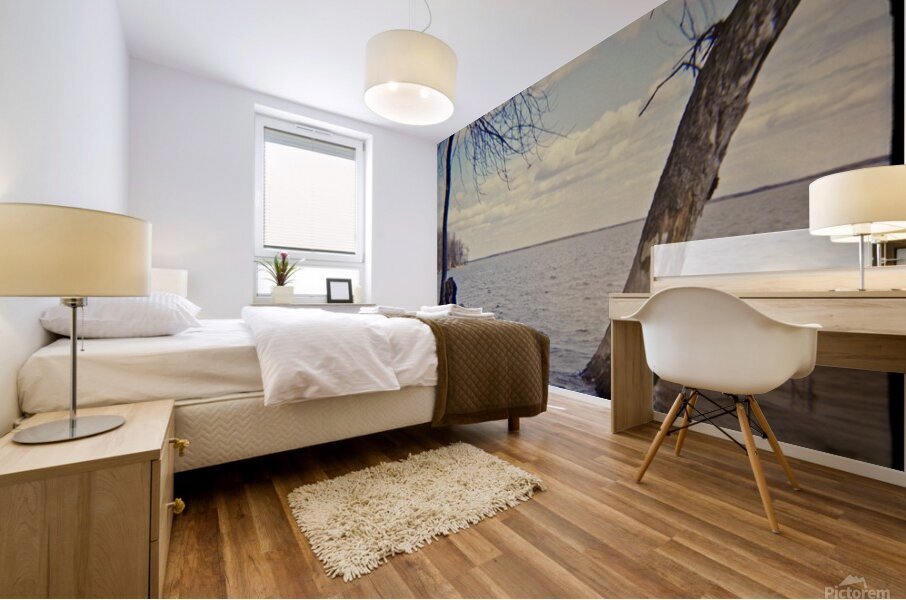 Shifting Sands Mural print