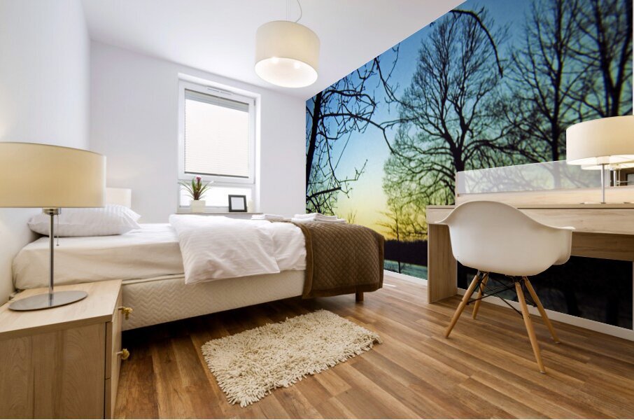 Quiet Horizon Mural print
