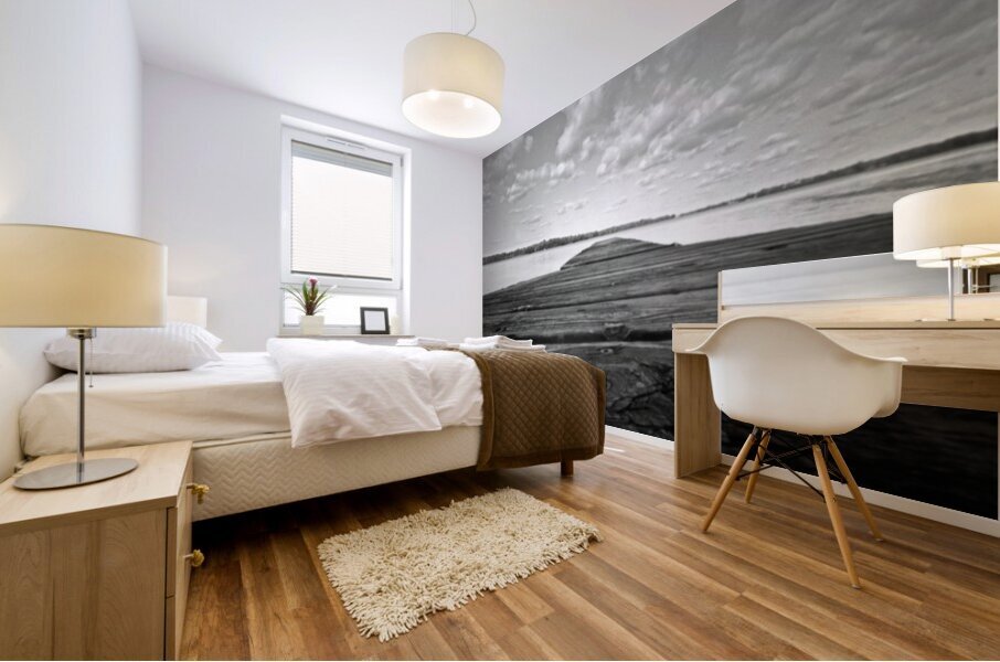 Where Land Forgets Mural print