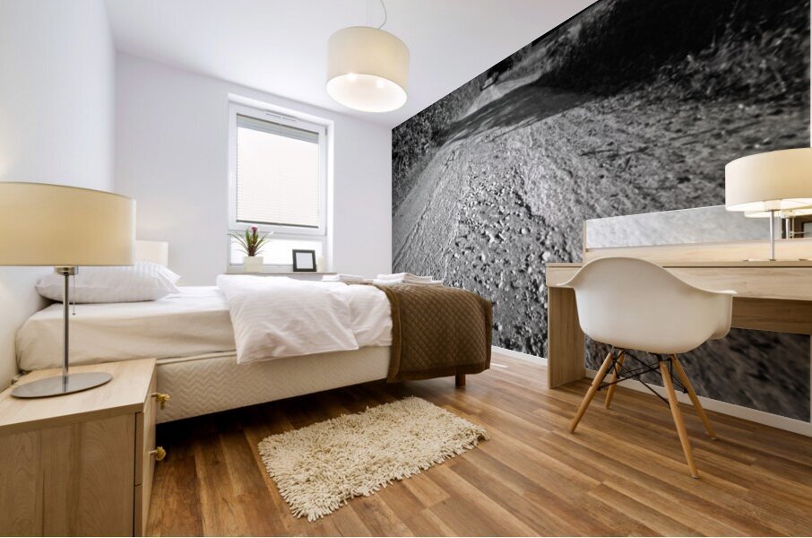 The Endless Stretch Mural print