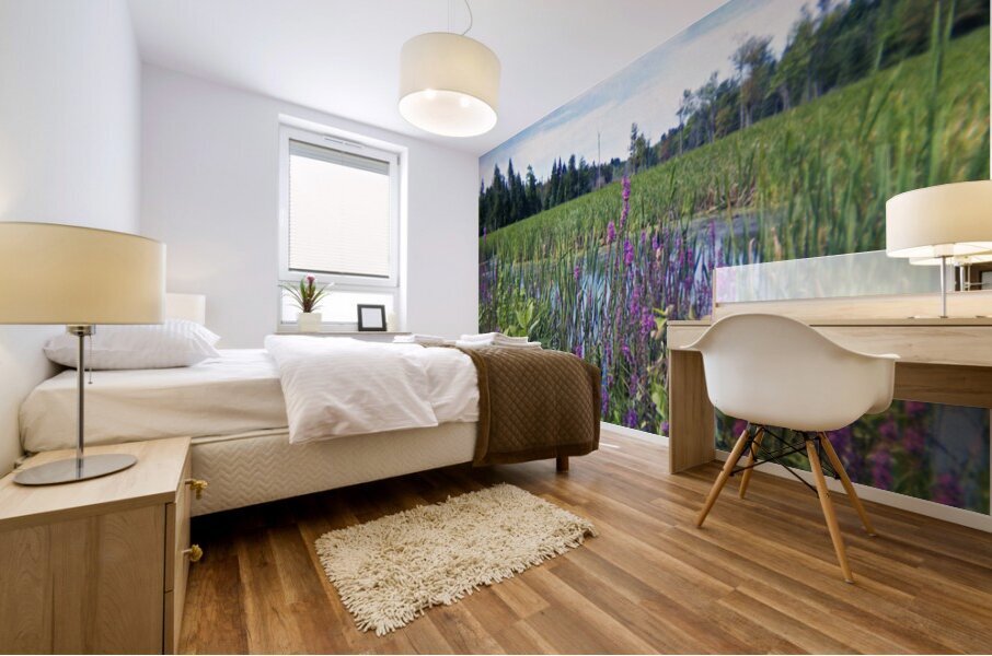 Rezoned For Development Mural print
