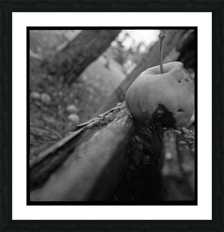 Bruised By Gravity Picture Frame print