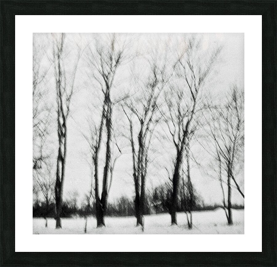 Bloodlines Picture Frame print