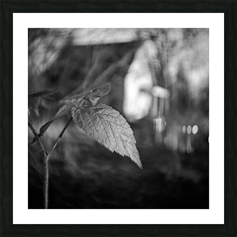 Forsaken Picture Frame print