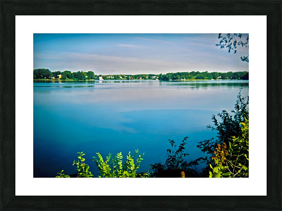 Silk in Motion Picture Frame print