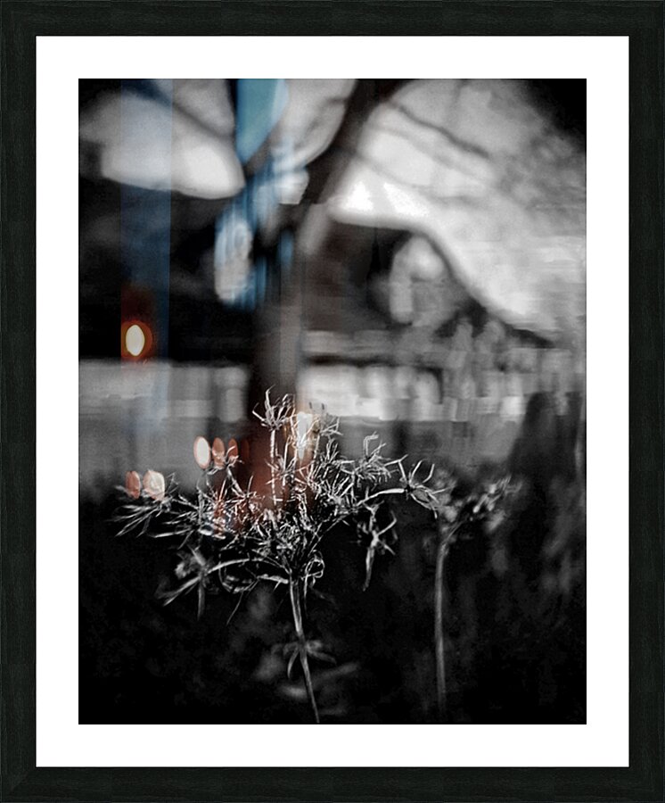 Res Nullius Picture Frame Printing