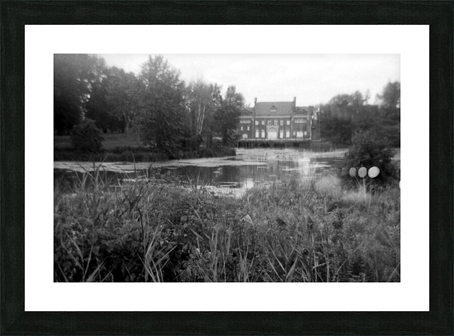 Silent Current Picture Frame print