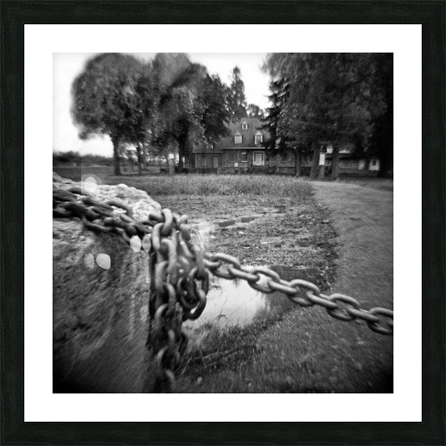 Silent Sentinel Picture Frame print