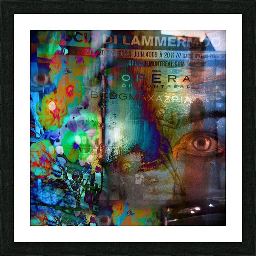 Aria 51 Picture Frame print