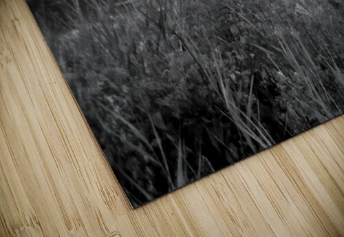 Silent Current soulardphotography puzzle