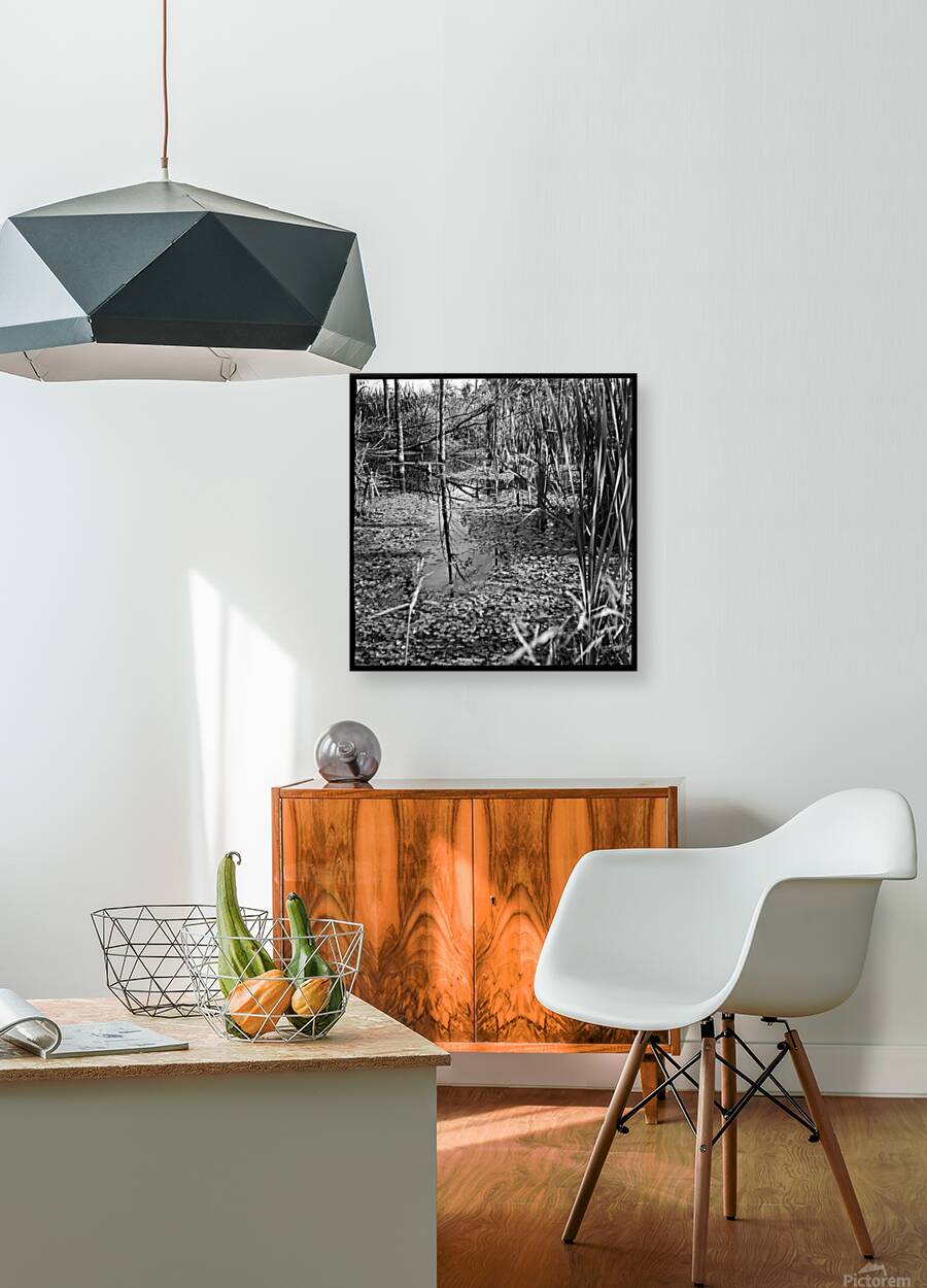 Mirror Swamp Reproduction