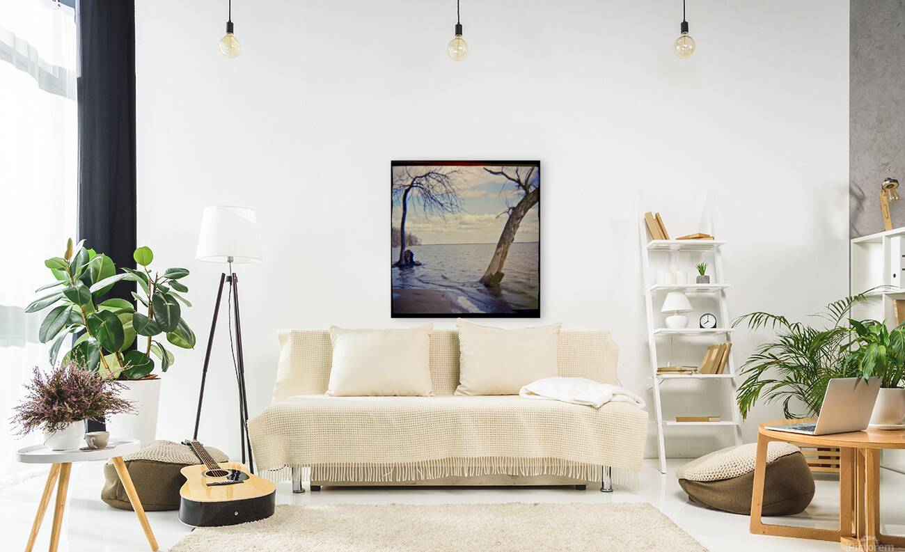 Shifting Sands Reproduction