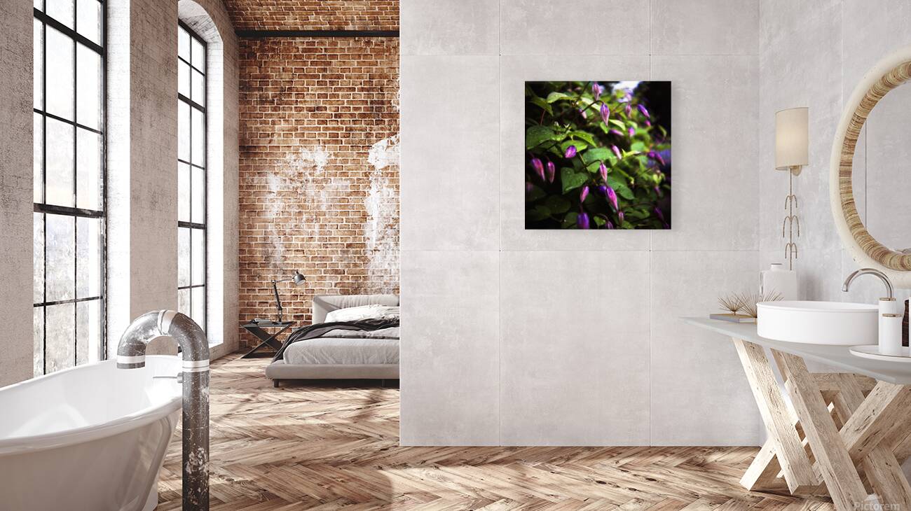 Dianas Spring Reproduction