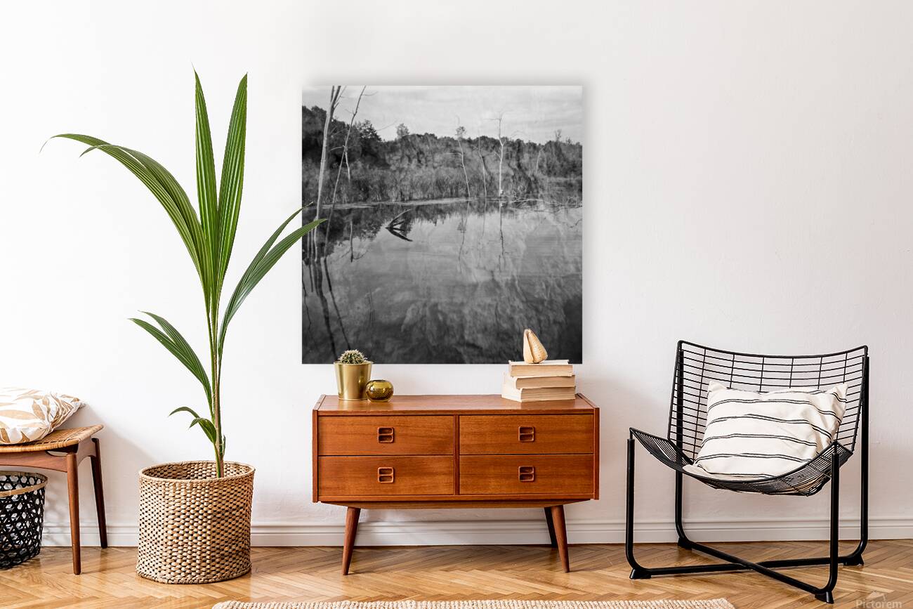 Still Waters Reproduction