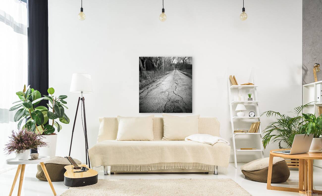 Centralia Reproduction