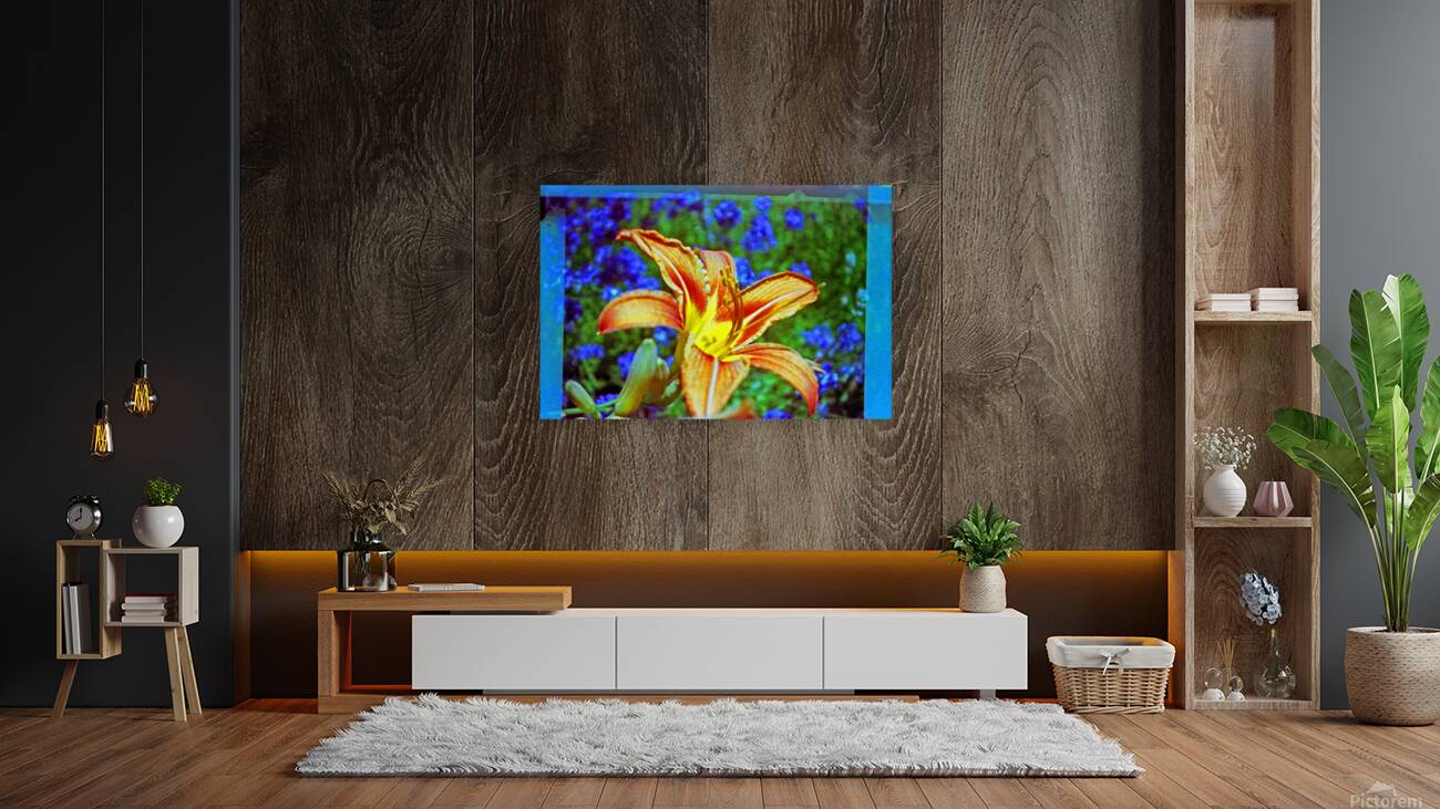 Lily explosion Reproduction