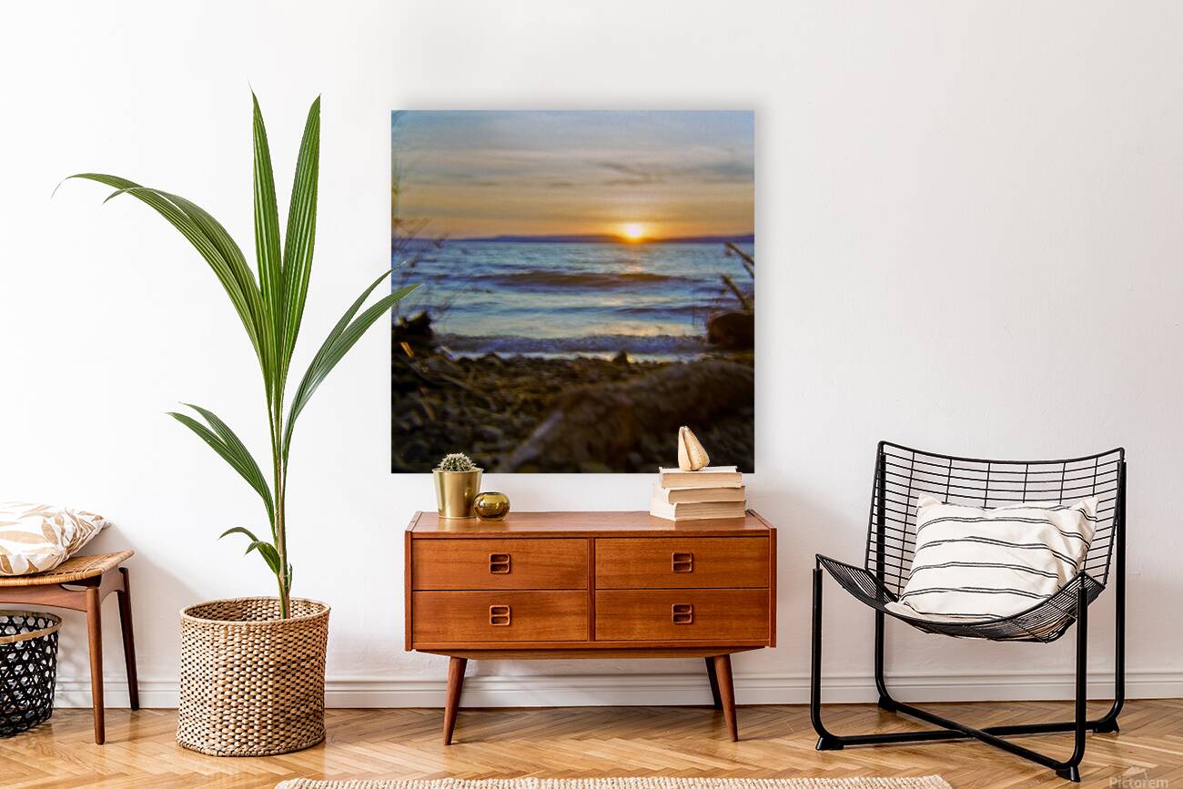 Sunset In Myopia Reproduction