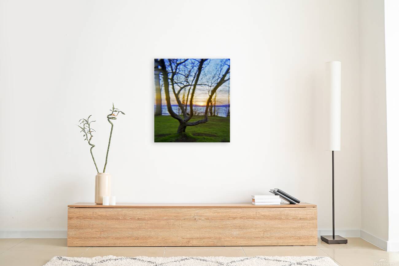 Sunset on B Reproduction