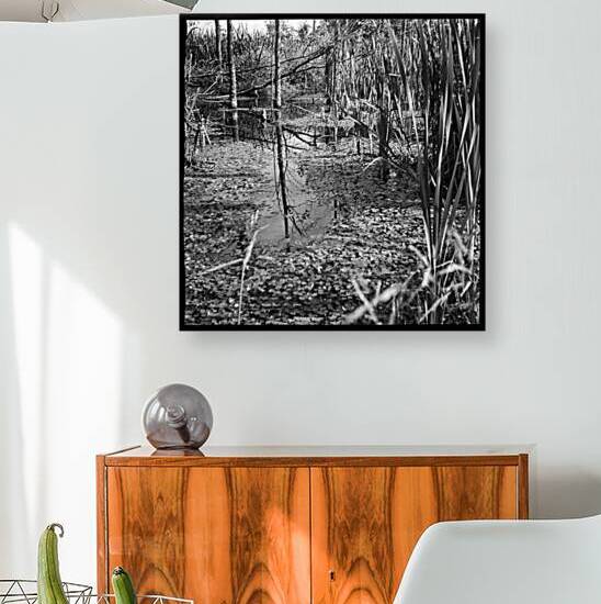 Mirror Swamp by soulardphotography