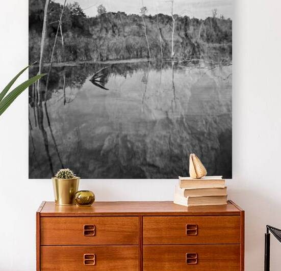 Still Waters Reproduction
