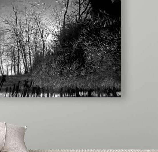 Enchanted Forest by soulardphotography