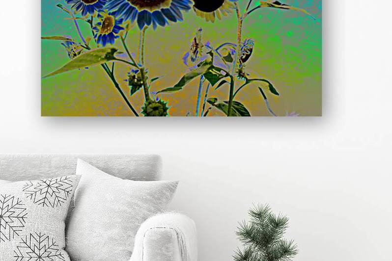Electric Sunflowers by soulardphotography