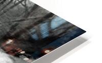 Stillness in Motion HD Metal print