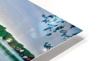 Silk in Motion HD Metal print