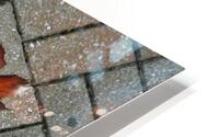 Folium Impression metal HD
