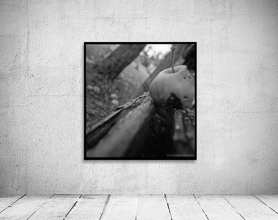 Bruised By Gravity Wall Preview
