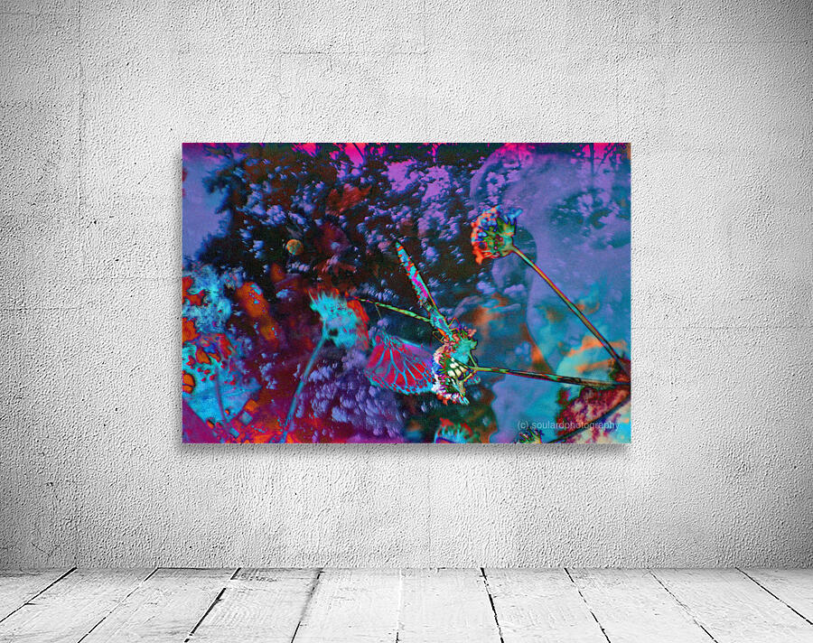 Metamorphosis Wall Preview