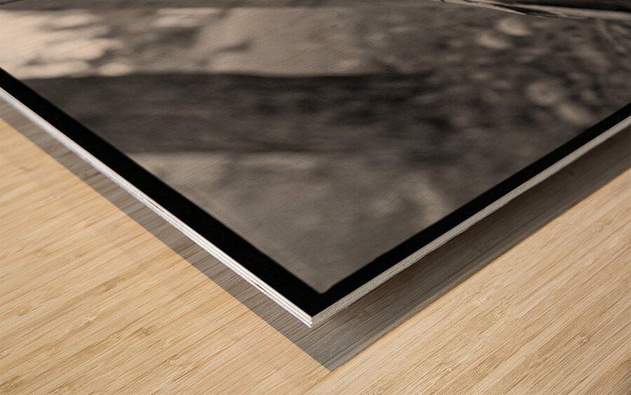 Bruised By Gravity Wood print